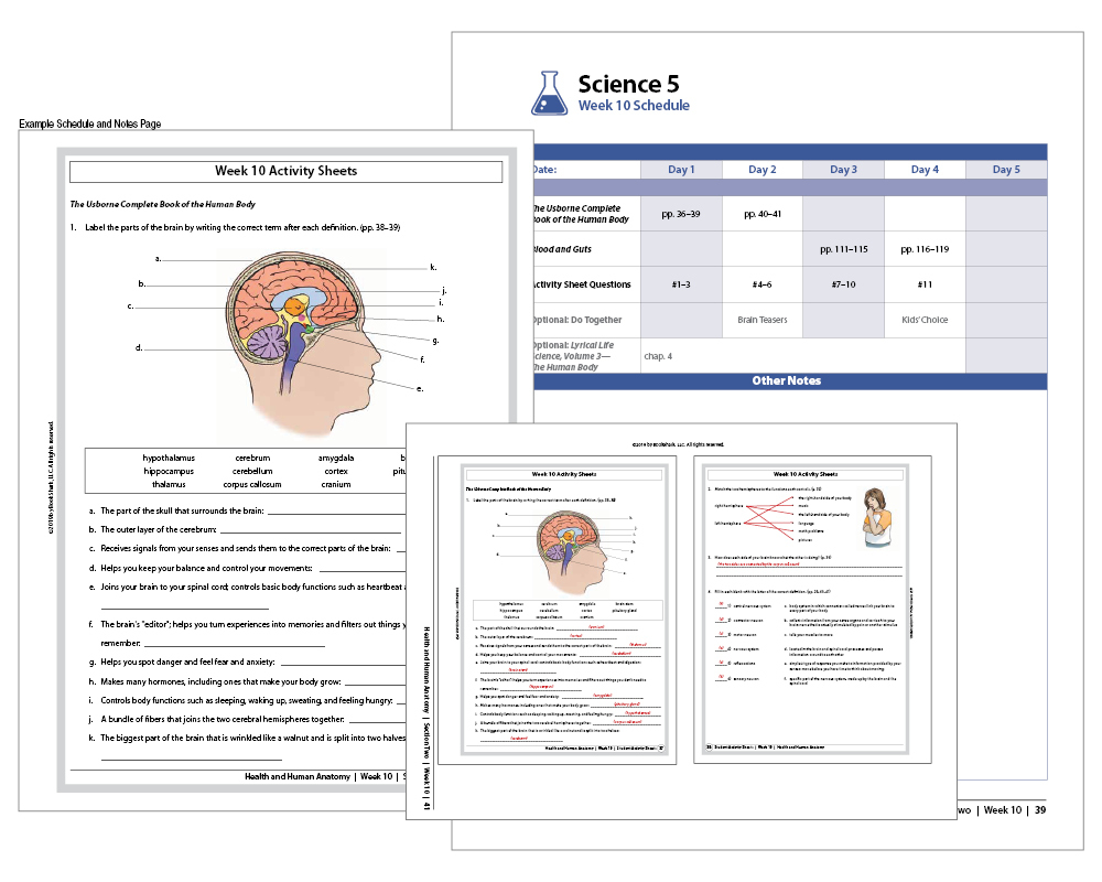 BKS-Science-IG-samples BookShark Science Instructor's Guide and Activity Sheet Example