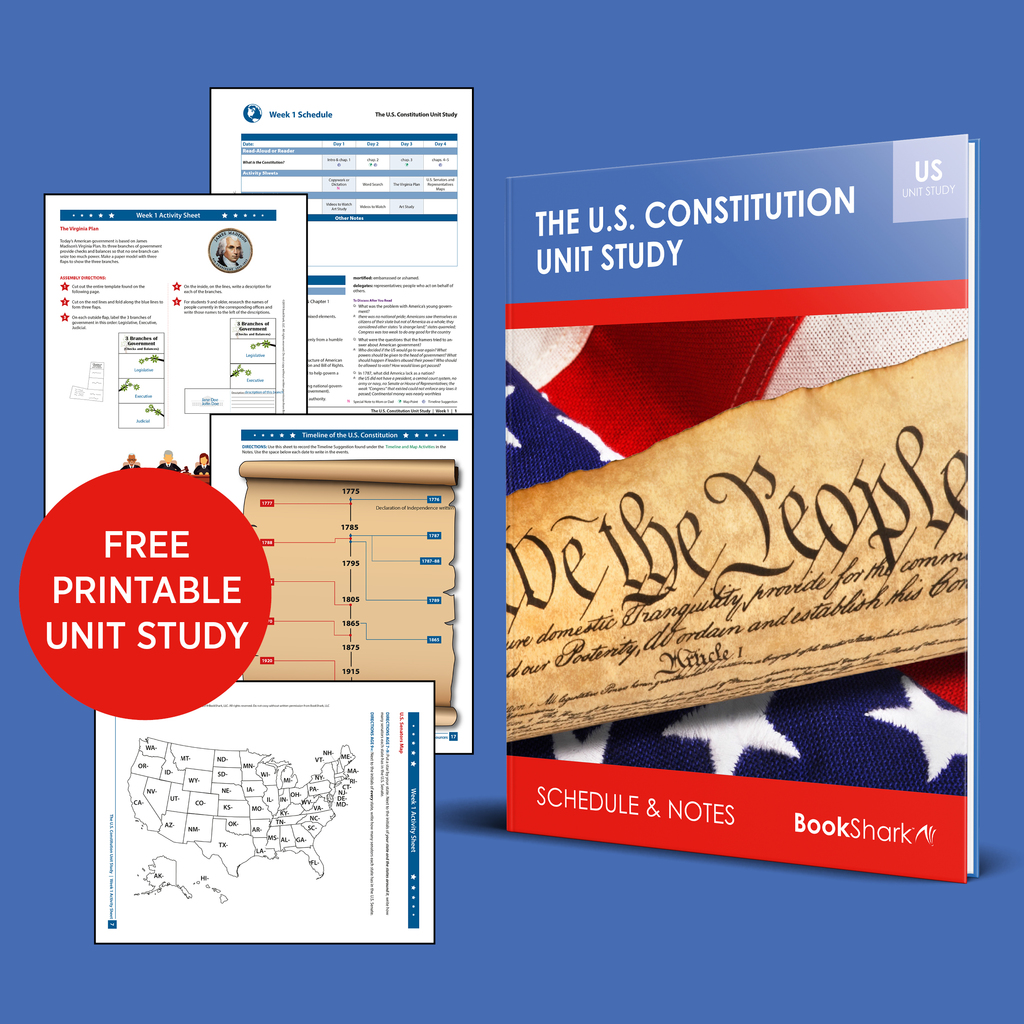 constitution-IG American constitution unit study