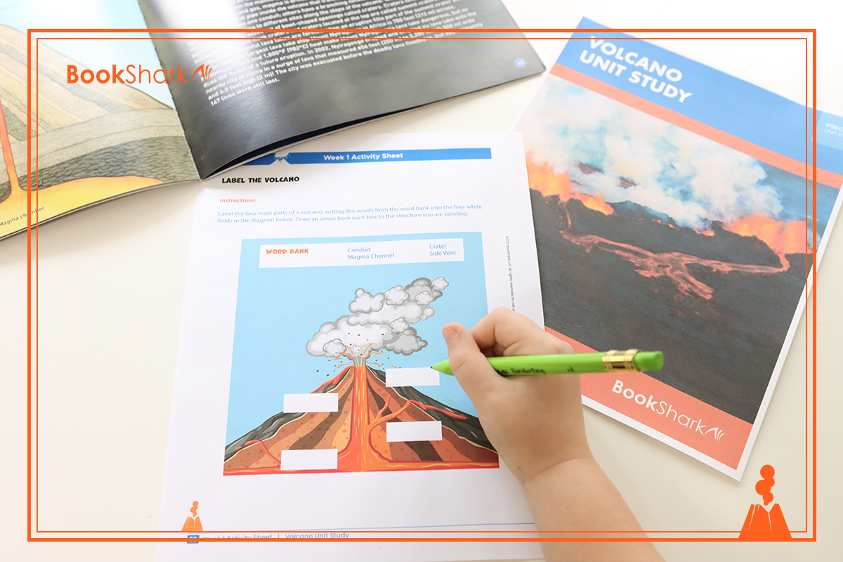 IMG_7815 activities for volcano unit study